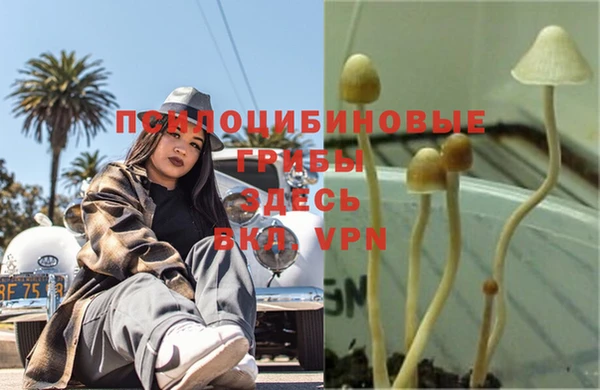 2c-b Тольятти