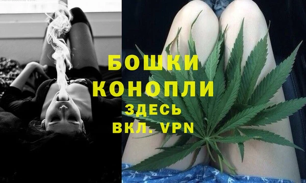 СК Барнаул